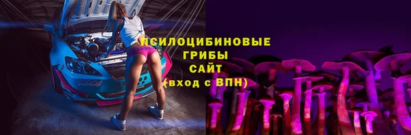 гидра Нея